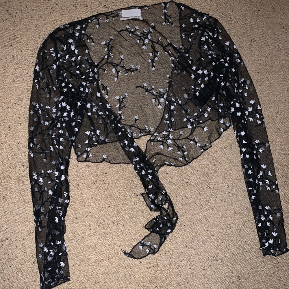 Sheer Blouse